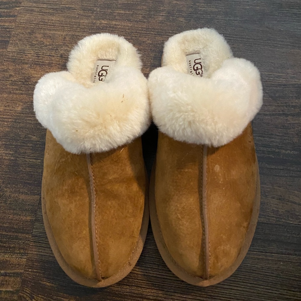 Brand new UGG slippers